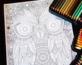 Owl Detailed Colouring Pa...