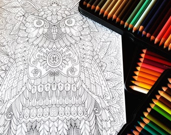 Owl 2 Detailed Colouring Page