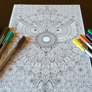 Owl Mandala Detailed Colouring Page image 1