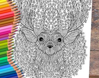 Floral Deer Colouring Page