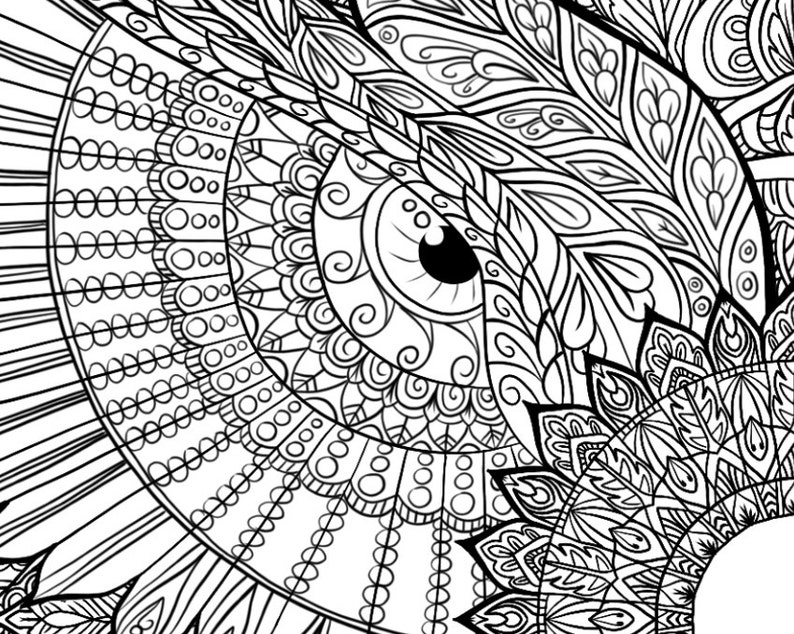 Owl Mandala Detailed Colouring Page 画像 2