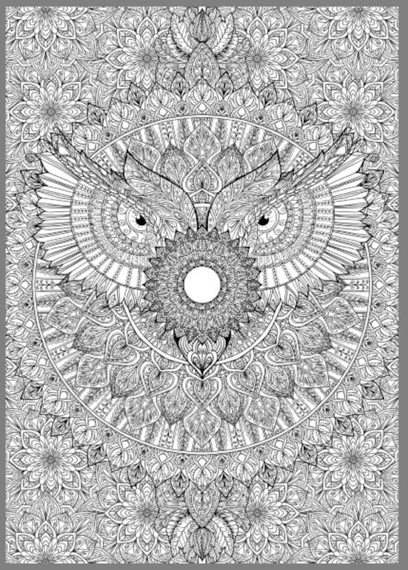 Owl Mandala Detailed Colouring Page 画像 3