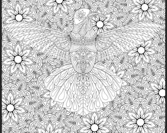 Hummingbird Detailed Colouring Page