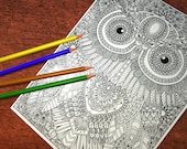 Owl 3 Detailed Colouring ...