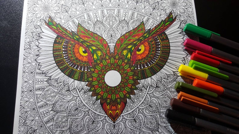 Owl Mandala Detailed Colouring Page 画像 4