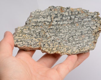 Scottish OCEAN JASPER Pitchstone Rare Volcanic Glass Stone Slice Slab Polished Mineral Rock Crystal Lapidary Scotland Uk DA29