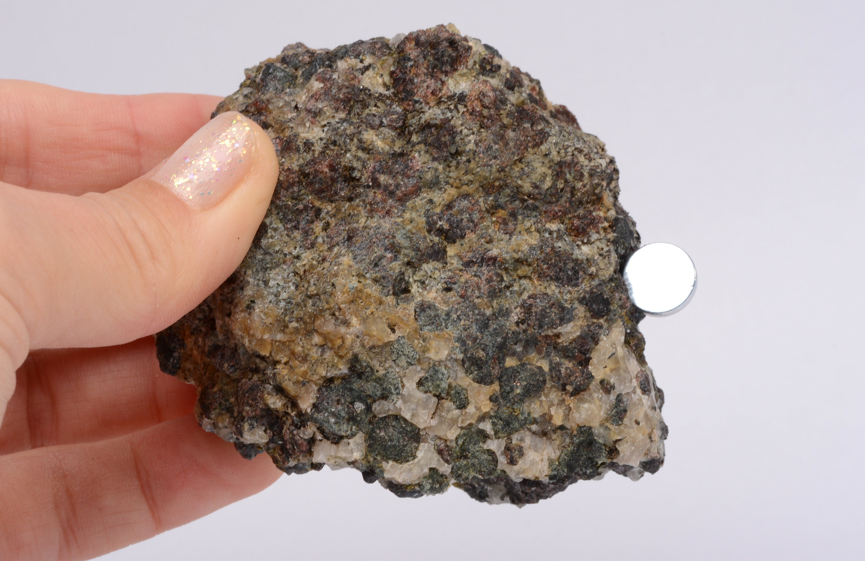 Scottish Magnetic Magnetite Garnet Quartz LEWISIAN GNEISS | Etsy