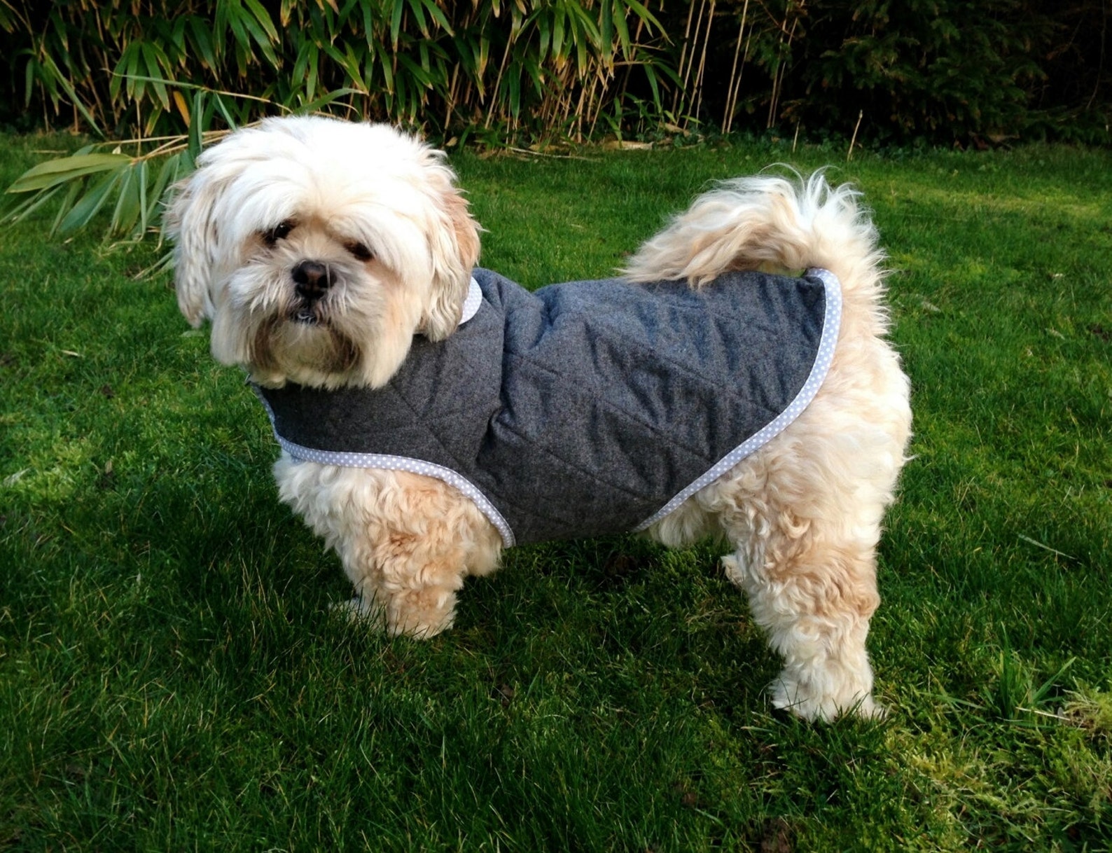 Quilted Dog Coat 3 Sizes SEWING PATTERN Etsy