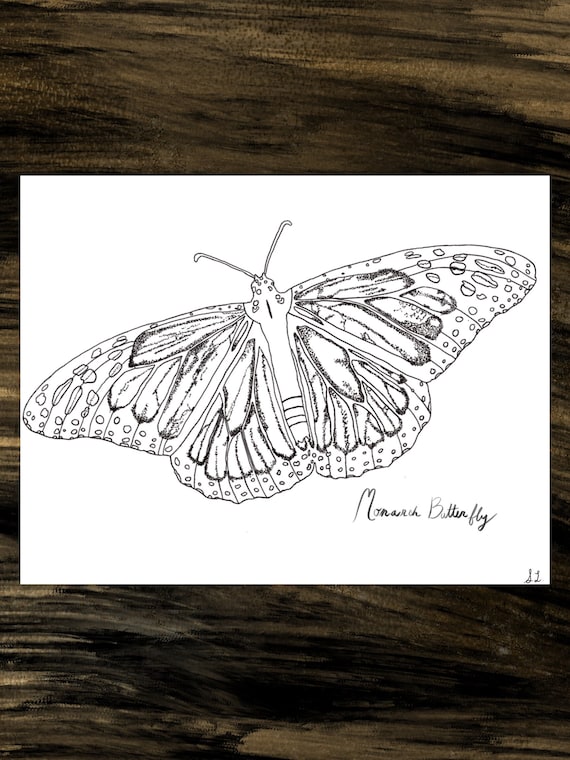 Monarch Butterfly Coloring Page Digital Download Nature - Etsy