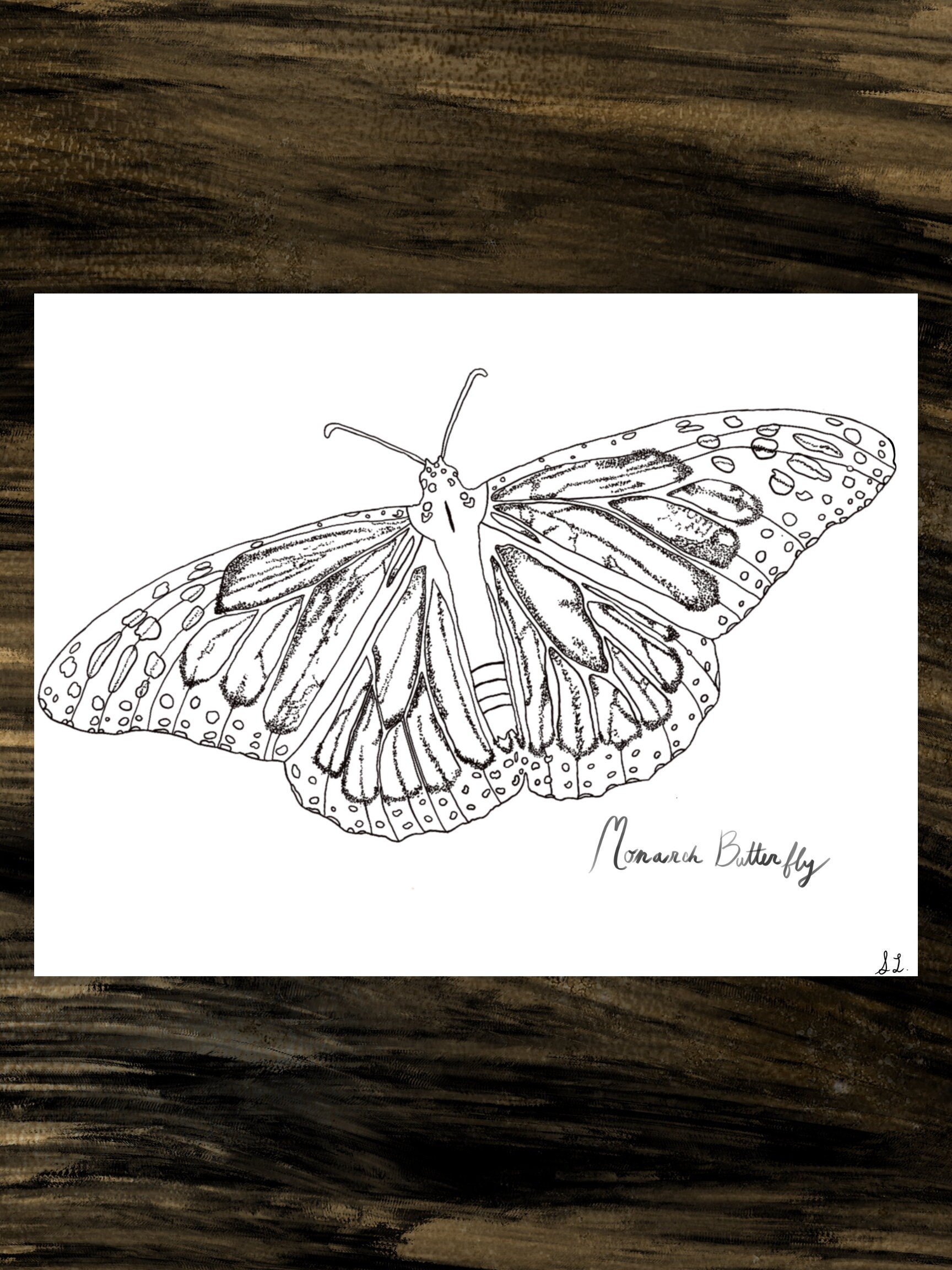Monarch Butterfly Coloring Page, Digital Download, Nature Coloring Page