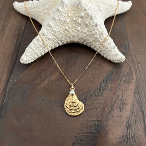 GOLD OYSTER NECKLACE / Gold Oyster Pendant + Gold Filled Chain + Freshwater Pearl Dangle / Beach Wedding / Bridesmaid Gift / Free Shipping