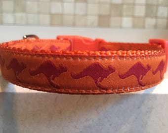 kangaroo leather dog collar
