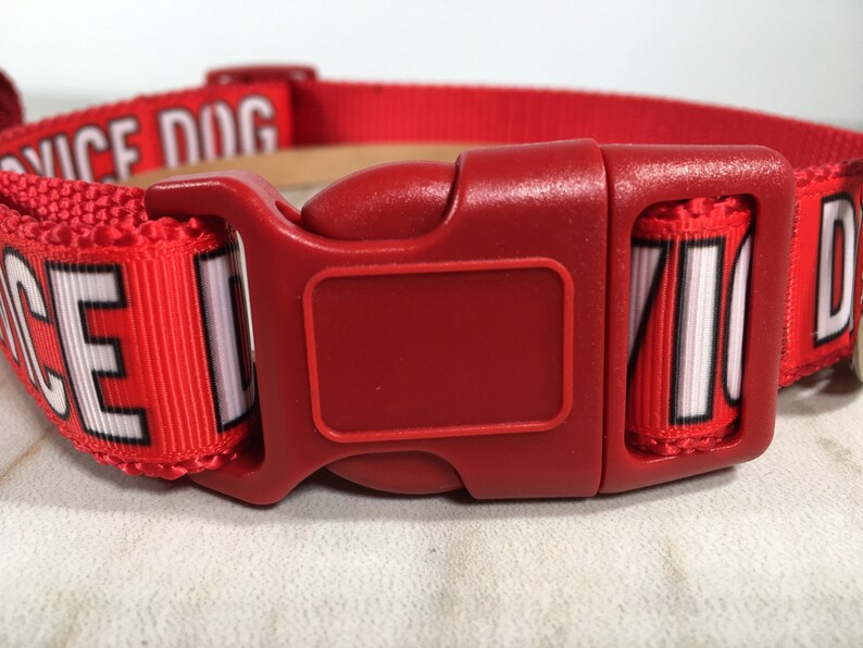 Service Dog Medical Alert S M L XL Dog Collar & Optional Etsy