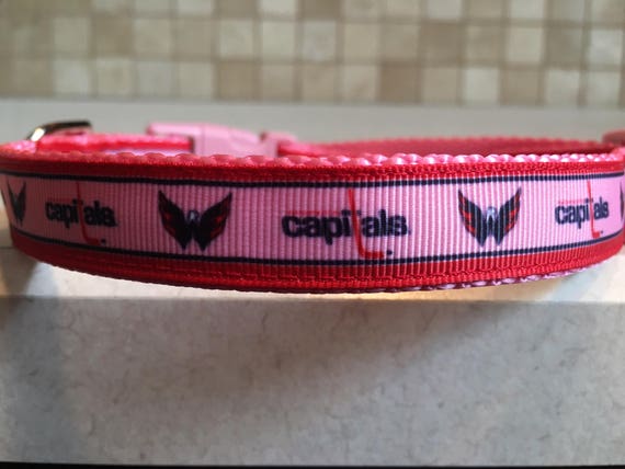 Washington capitals top dog collar