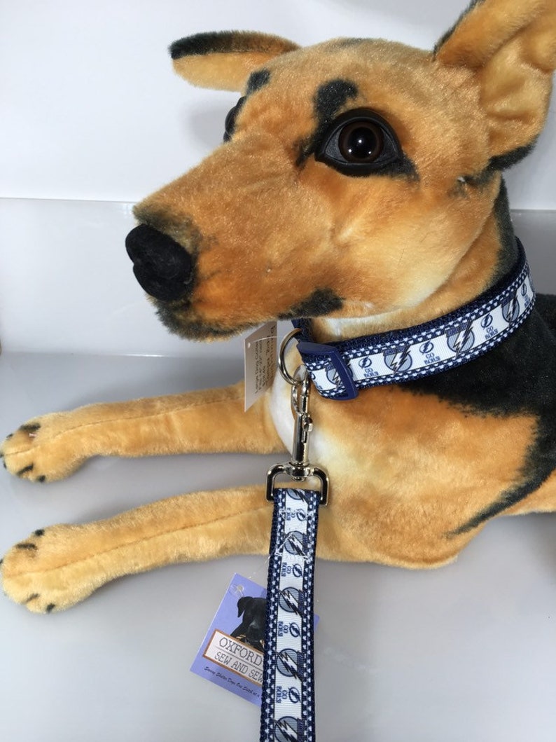 Tampa Bay Lightning Hockey Sports Dog Collar ALL SIZES 1 Etsy