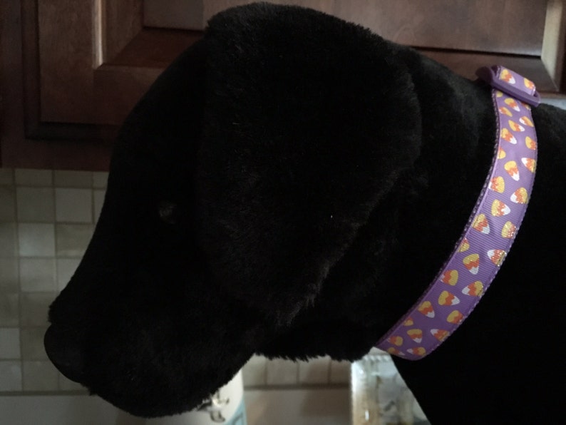 Glitter Candy Corn Halloween Orchid 1 M L XL Dog Etsy