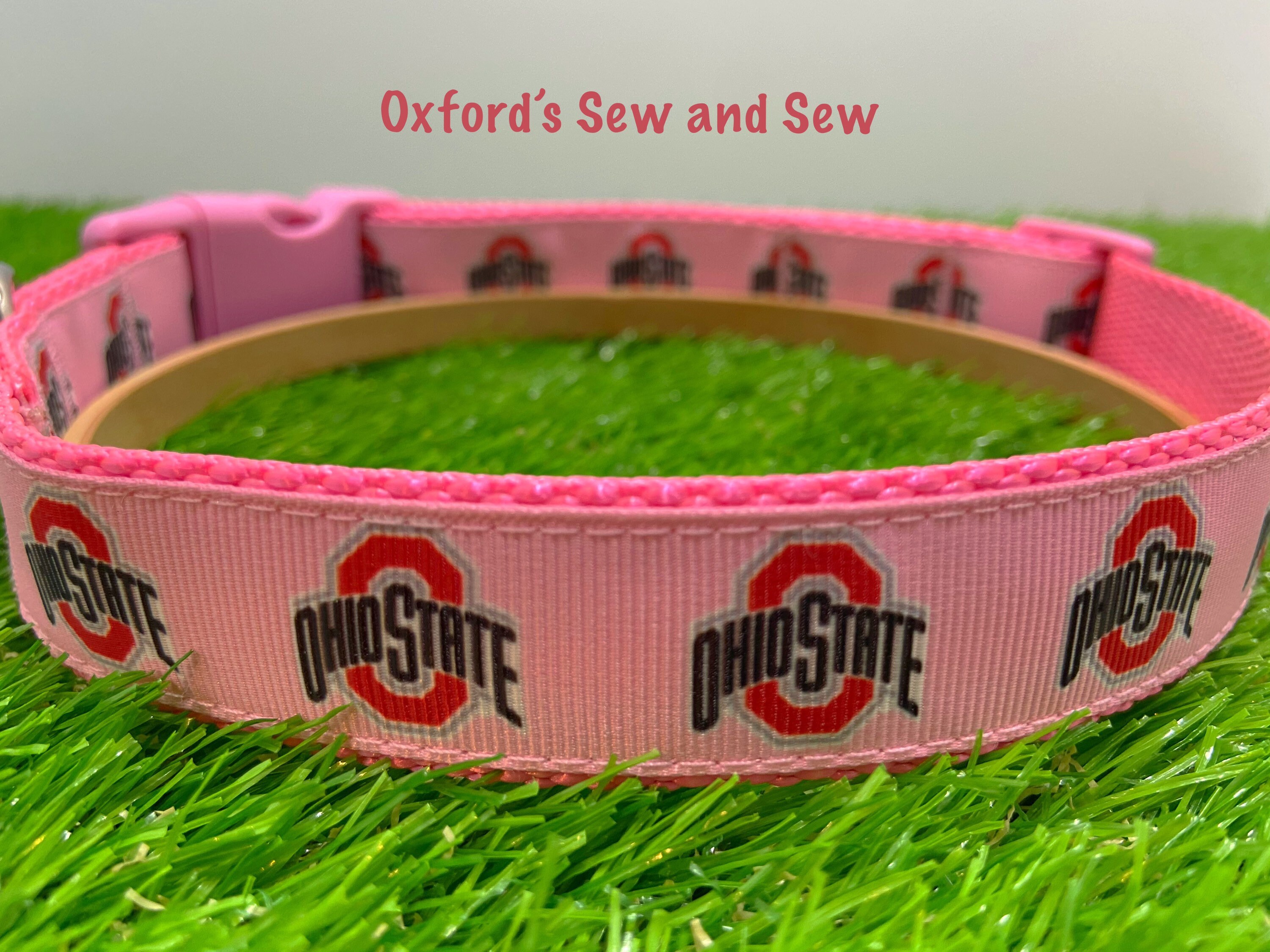 ohio state gear for dogs