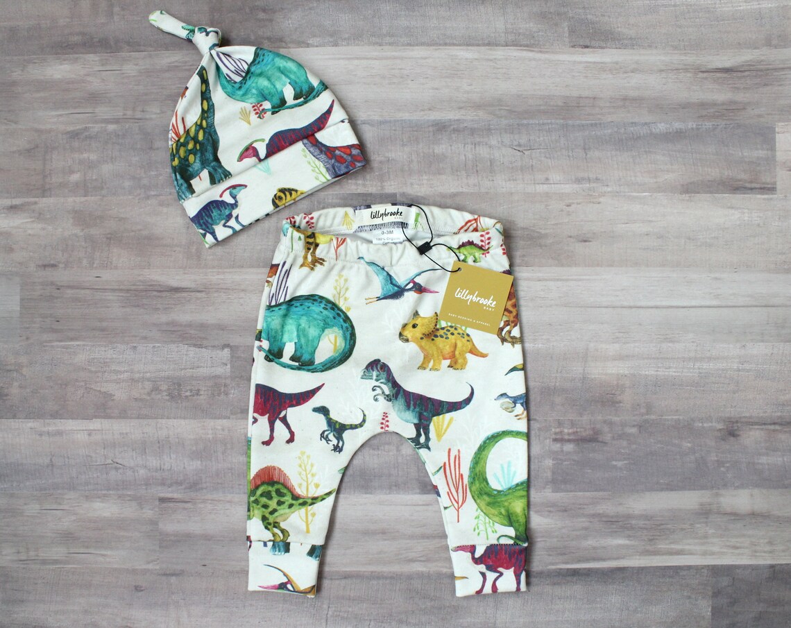 Multicolored Dinosaur Pants Etsy