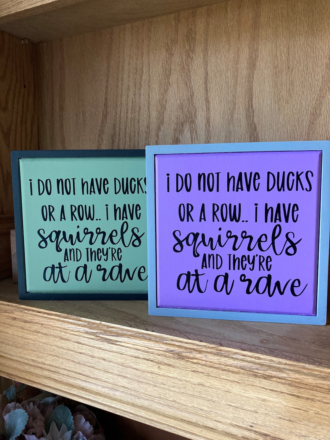 I Dont Have Ducks I Have Squirrels at A Rave, Modern Gray Wooden Sign