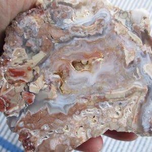 May include: A close-up of a polished, irregularly shaped stone with a mix of colors. The stone features swirling patterns in shades of red, brown, white, and blue. The surface has a glossy finish, highlighting the natural variations and textures.