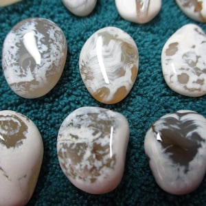 May include: A collection of polished, oval-shaped stones with unique patterns. The stones feature a mix of white, gray, and brown colors, with swirling and speckled designs. The stones are arranged on a teal-colored surface.