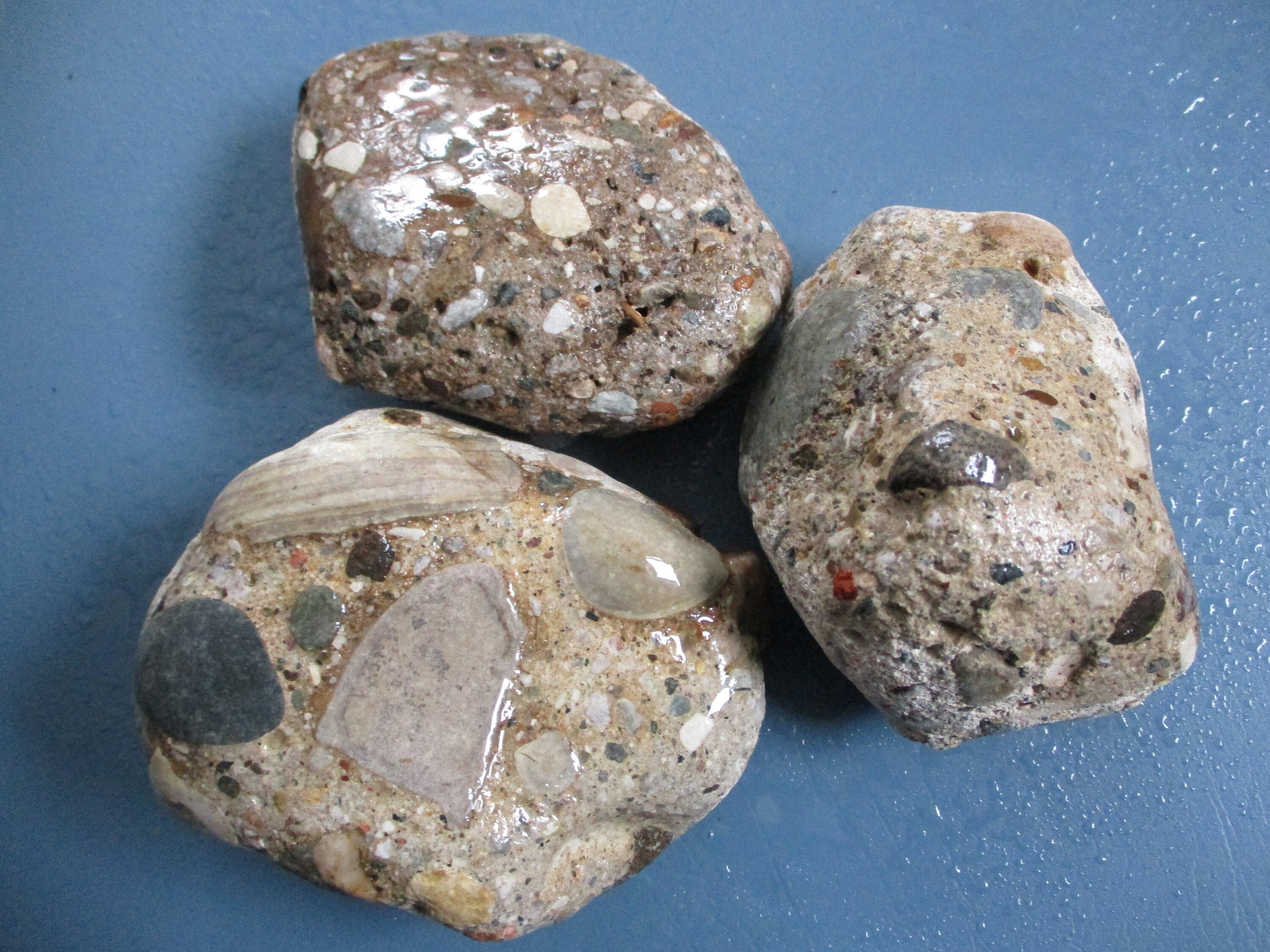 Conglomerate Rocks