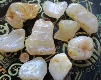 Large Oregon Beach Agates Lot