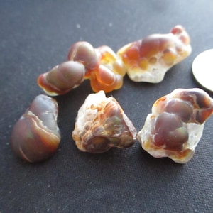 May include: Five pieces of fire agate with botryoidal formations, displaying deep reddish-brown, orange, and translucent white hues. The stones are arranged near a circular coin for scale, showcasing their natural, irregular, and polished surfaces.