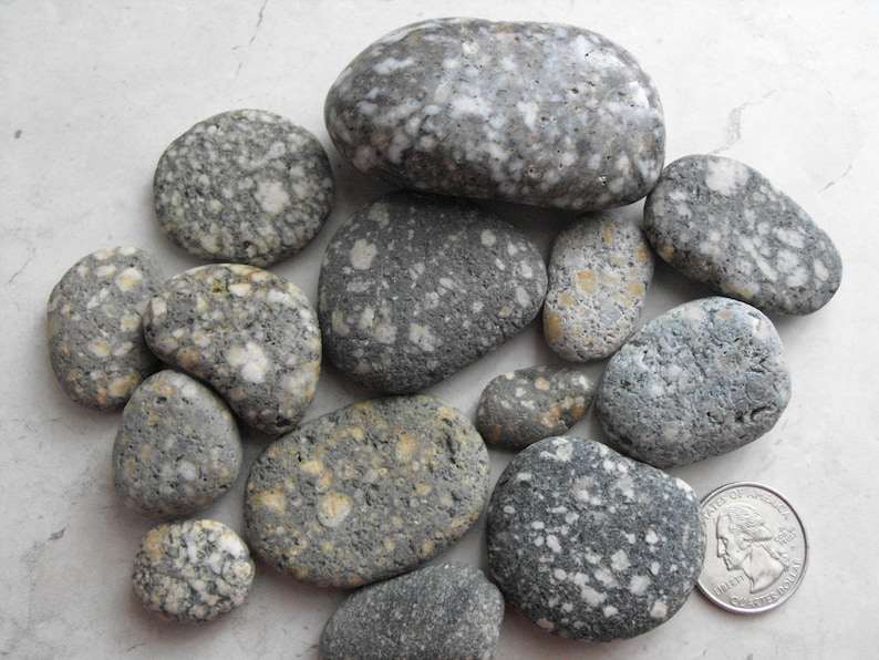 Pacific Ocean Speckled Stones Round Conglomerate Spotted | Etsy