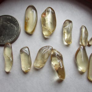 Oregon Golden Champagne Sunstones Lot