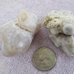 May include: Two light-colored, irregularly shaped rocks with a quarter coin for size comparison. The rocks have a mix of white, beige, and gray tones, with a smooth, polished appearance. One rock has a prominent, rounded feature.