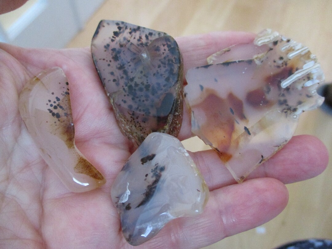 Montana Agate Dendritic Rock Slab Ends and Pieces - Etsy