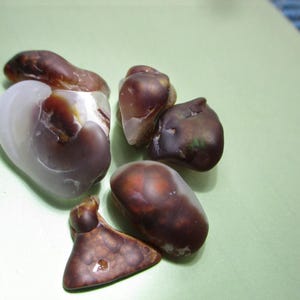 May include: A collection of five polished, smooth stones featuring a mix of translucent white, deep brown, and reddish-brown hues. The stones have irregular, rounded shapes with varying levels of opacity and internal color patterns throughout.