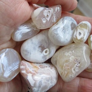 May include: A collection of polished agate stones in shades of white, cream, and tan. The stones have unique patterns and textures, with some displaying banded or swirling designs. The smooth, rounded stones are held in a hand.