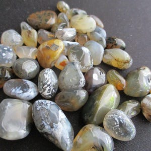 Polished Dendritic Beach Agates