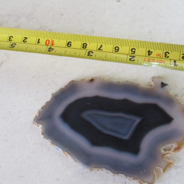 Blue Fortification Agate  Rock Slab