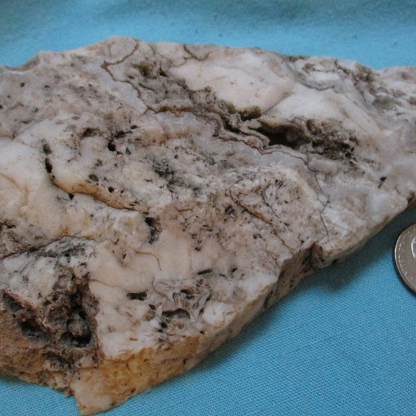 White Banded Desert Rock Slab, Layered Colors, Natural Stone Paperweight