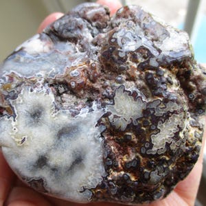 Mexican Tuxedo Lace Agate Unpolished Rough