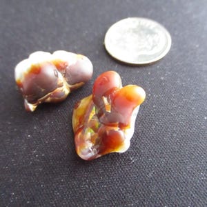 May include: Two polished gemstones with a coin on a black surface. The gemstones are a mix of brown, orange, and white. One is a rounded shape, and the other has a more elongated, organic form. The coin is silver.