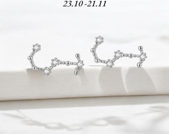 Skorpion örhängen, stjärnteckenörhängen, astrologiska örhängen, kubiska zirkoniaörhängen, silverörhängen, minimalistiska örhängen