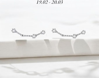 Fiskarna örhängen, stjärnteckenörhängen, astrologiska örhängen, kubiska zirkoniaörhängen, silverörhängen, minimalistiska örhängen