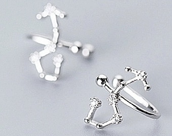 Skorpionen örhängen, stjärnteckenörhängen, astrologisk örhängen, kubisk zirkonia örhängen, örhängen, minimalistiska örhängen