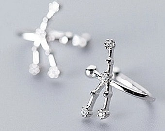 Örhängen med cancer, stjärnteckenörhängen, astrologisk örhänge, örhänge med kubisk zirkonia, örhänge, minimalistiska örhängen
