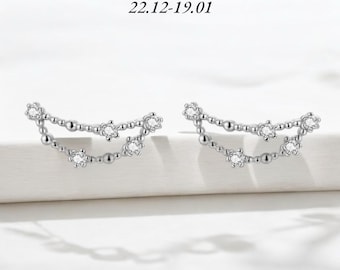 Stenbockens örhängen, stjärnteckenörhängen, astrologiska örhängen, kubiska zirkoniaörhängen, silverörhängen, minimalistiska örhängen