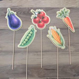 Locally Grown Baby Shower Party Props Kit 2 - Set of 5 on sticks - vegetables - corn, peas, carrot, tomato -farmer’s market - gender neutral