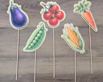 Locally Grown Baby Shower Party Props Kit 2 - Set of 5 on sticks - vegetables - corn, peas, carrot, tomato -farmer’s market - gender neutral