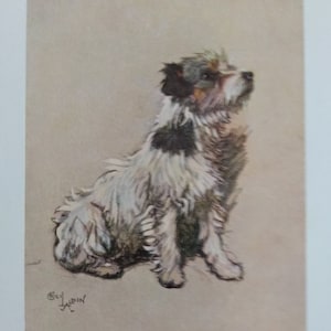 Original Vintage book plate from 1932  illustrated by Cecil Aldin choice of 8 different prints