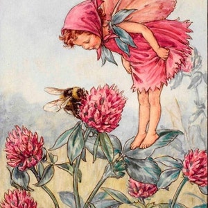 Flower Fairies original Vintage print from 50&#39;s/60&#39;s choose from several gorgeous countryside fairies by   Cicely Mary Barker ws