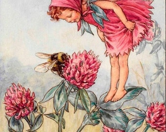 メアリー・シシリーバーカー赤いクローバーの妖精 Red Clover Fairy 1930's Vintage Print CICELY MARY BARKER
