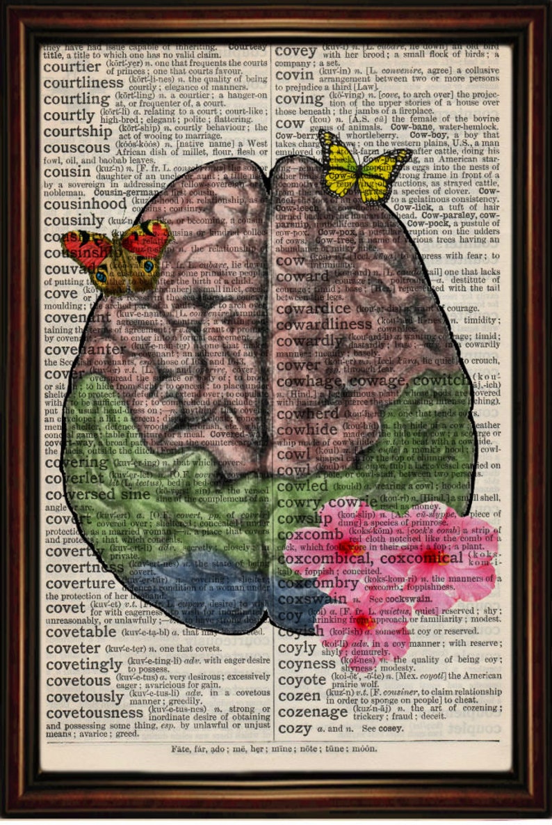 Human Brain vintage anatomy Unmounted/ Mounted Art Print. An original antique,dictionary book page. choose picture image 2